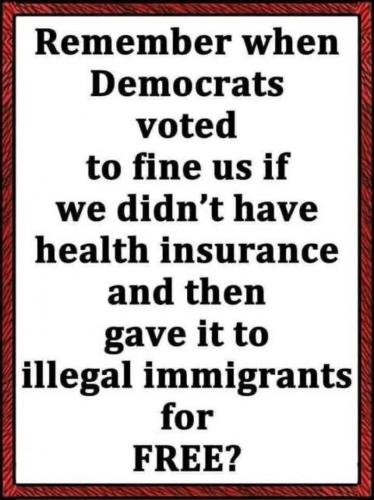 HEALTH INS FOR ILLEGALS   TS