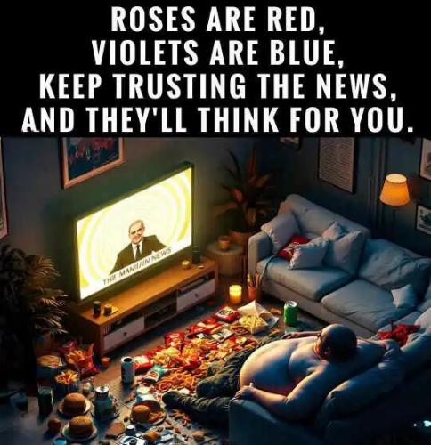roses-are-read-trusting-news-thinking-for-you-msm.jpg