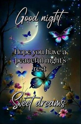 0b29be9d9cfcc866dd32d42a5fe769c5