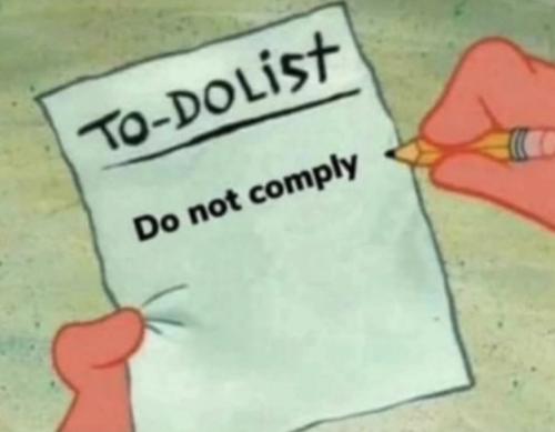 photo_2025-10-22_22-08-38