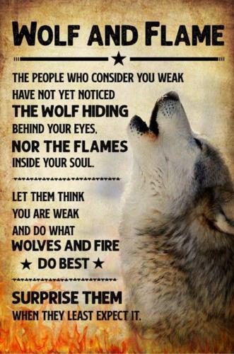 Wolf and Flame