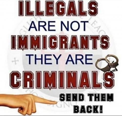 Illegal alien - Send them back and take all their asset - It's not enough to send them back