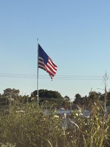 Flag - 6