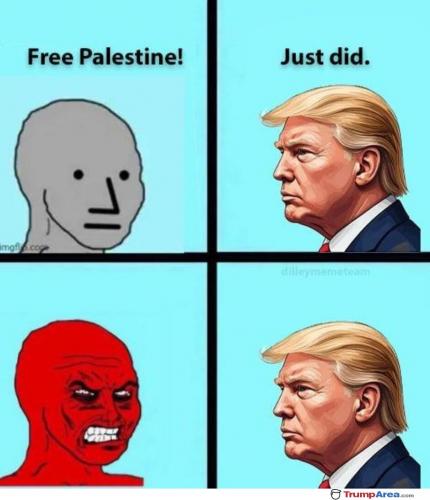 just-did