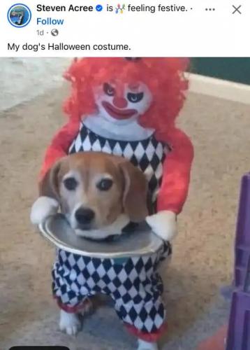 fb-dogs-halloween-costume-head-platter.jpg