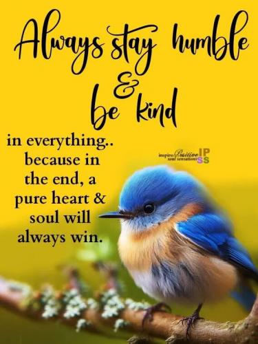 Always kind 1010