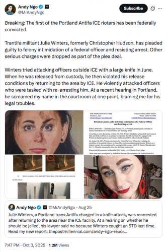antifa plea