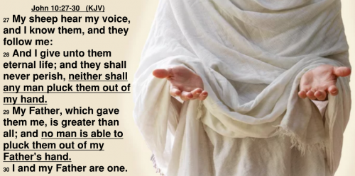 John 10.27