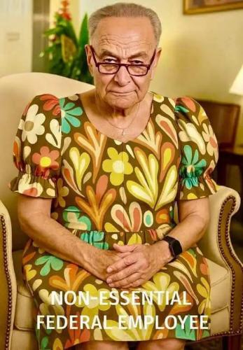 chuck-schumer-dress-non-essential-employee.jpg