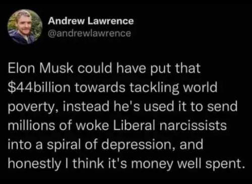 x-elon-musk-44-billion-povery-liberal-narcissists-depression.jpg