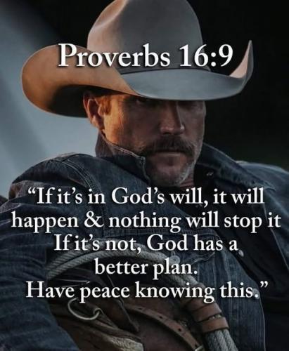 Proberbs 16-9
