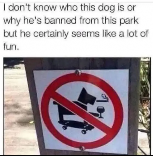 fun o