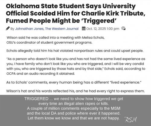 triggered 101