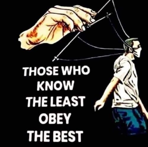 Mask Mad  - why are you masked who's your globalist master - ill help you to kill it