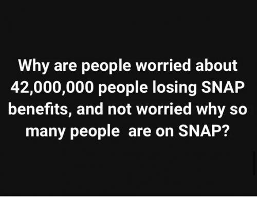 BIDENS MISERY INDEX SNAP2