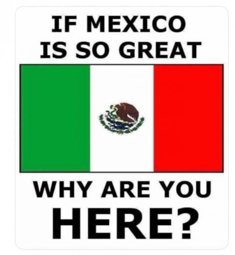 Mexico Madness - Go back home bean jumpers