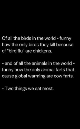 Funny Thing