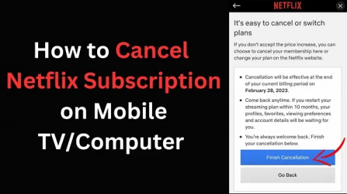 cancel-netflix-subscription