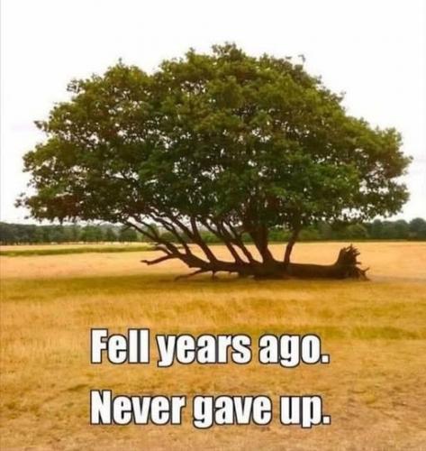 565687134_10166680656782580_3062167269630080492_n