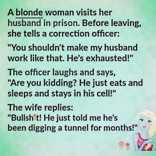 Funny - Blonde woman visiting husband in prison