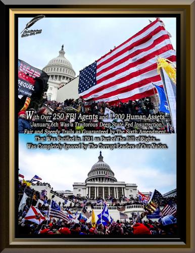 January 6th Fed Insurrection