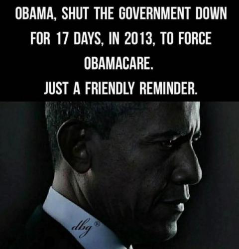 USA Team Barry Hussein Obamad - 17 days in 2013 shut down government to impose affortable health care