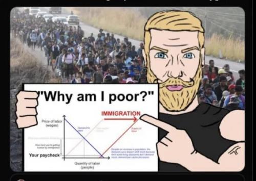 illegal alien costs