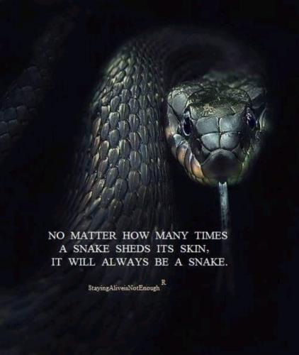SNAKE