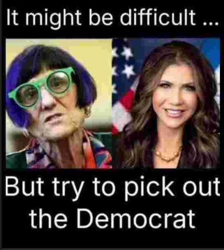 democrat pick