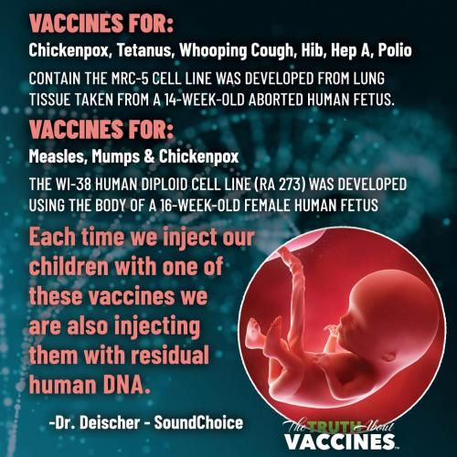 photo_2025-10-02_22-21-18