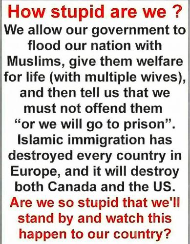 HOW STUPID ARE WE   GETTR