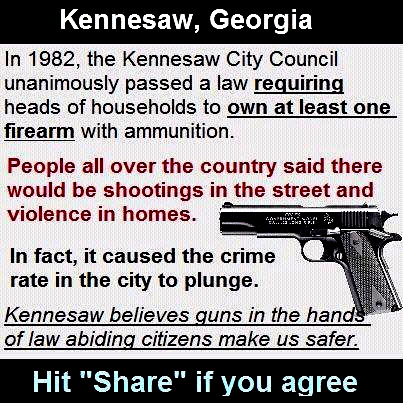 Law Requiring Heads of Houshold to Own at Least One Gun and Ammunition