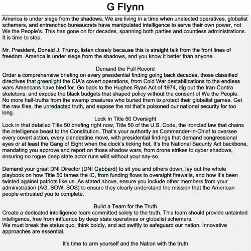 Flynn shadow siege