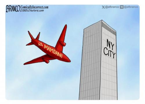 branco zohran mamdani