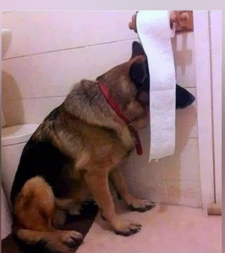 Screenshot 2025-11-24 18.00.40