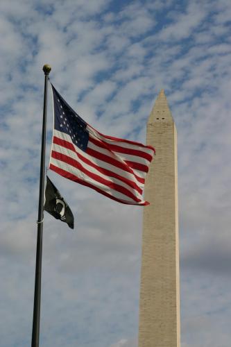 Flag - At Washington Monument 2