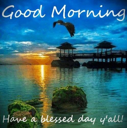 110425 - GM eagle - beach