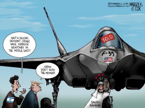 MC-F35-111925-THM-800x0