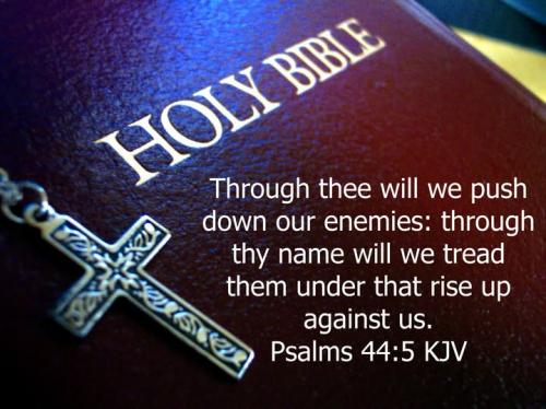 484226212_1825966001511491_6767036101698975927_n