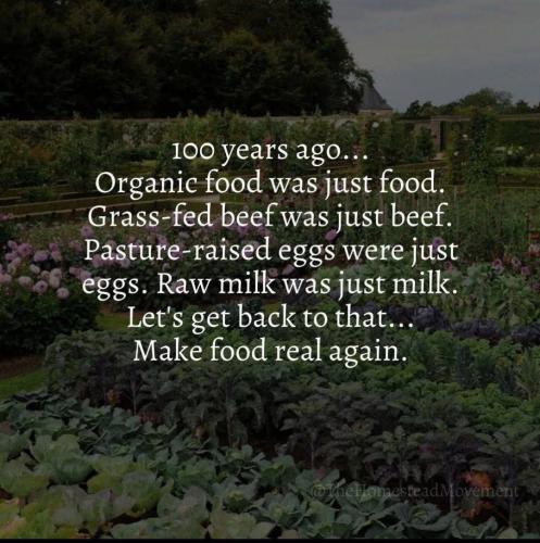 b1892fa8-d250-42be-a9c3-733fa4d0ae06_1080x1085