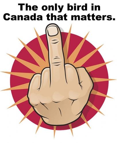 Fuck Mark Carney canada.768px