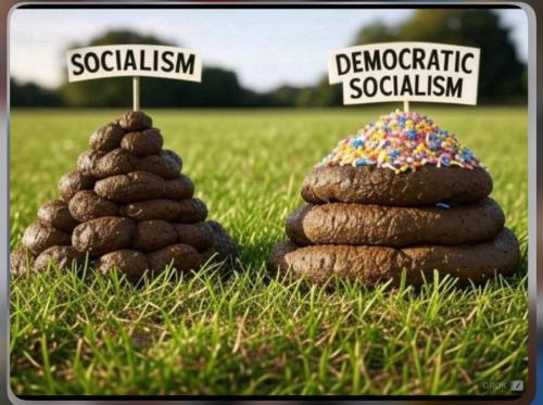 Socialism vs Democrat