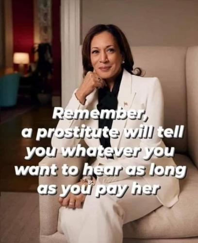 main-qimg-1d7c51cee6eba8751a77572f3ad04414