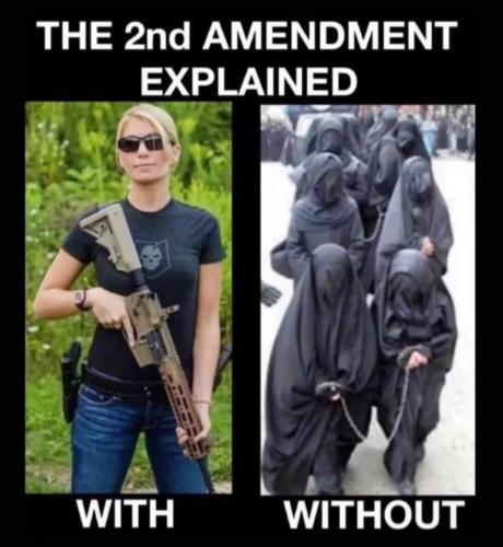 photo_2025-11-08_20-52-22