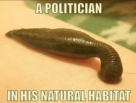 e318c481-c816-4cc7-aa40-0613df718fdf_460x348