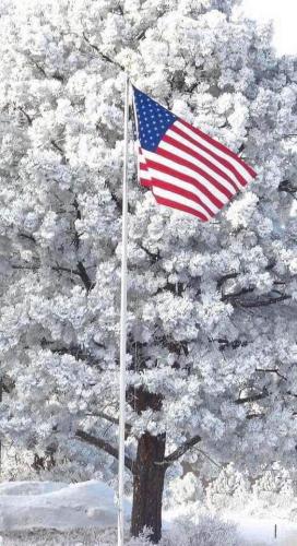 Flag - In front of snow covered tree
