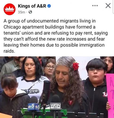 ILLEGALS CHICAGO 7