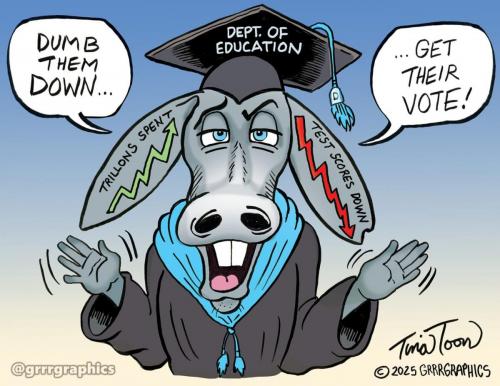 dept_of_education_failed-Tina-Toon-1536x1187
