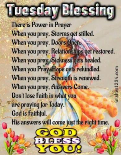Tuesday Blessings 1