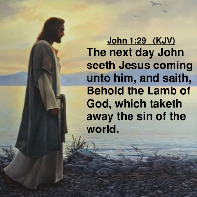 John 1.29